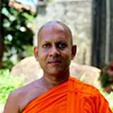Faculty Representative